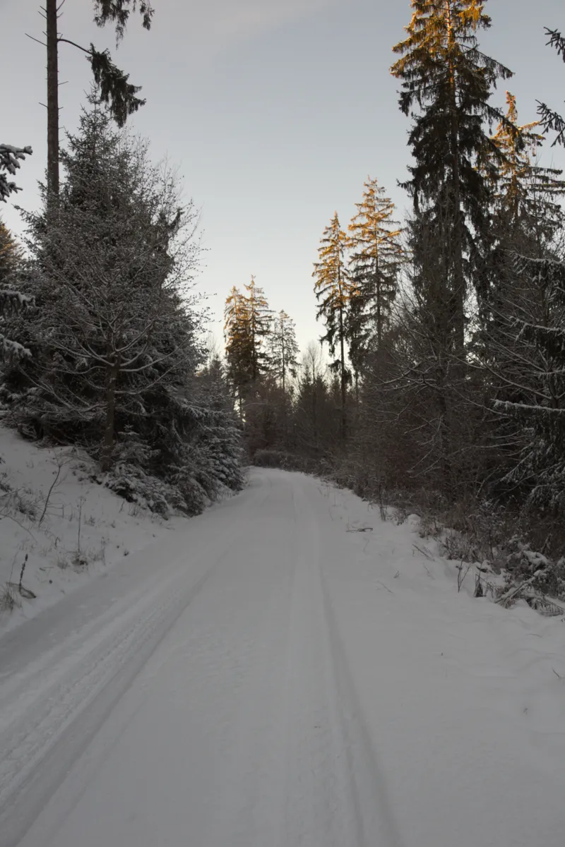 Verschneiter Waldweg bei Gersfeld – echtes Winter-Symbolfoto für kalte und feuchte Einsatzbedingungen
