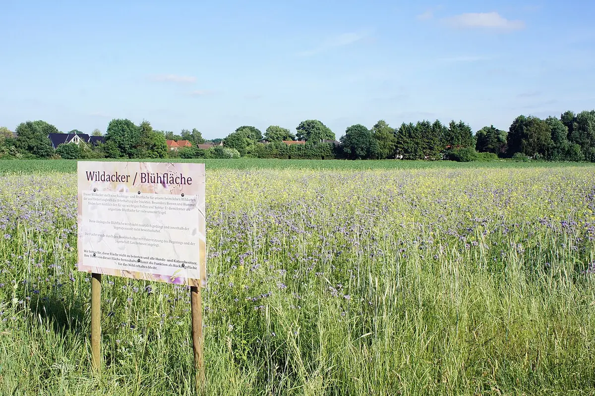 Feld- und Waldrevier