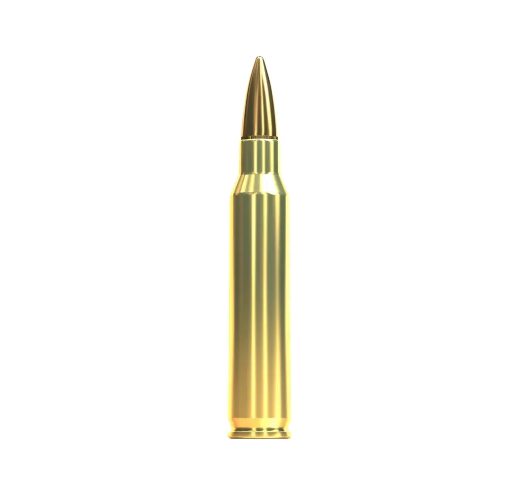 Sellier & Bellot .223 Rem. VLM BT 55 grs Detail der Patrone
